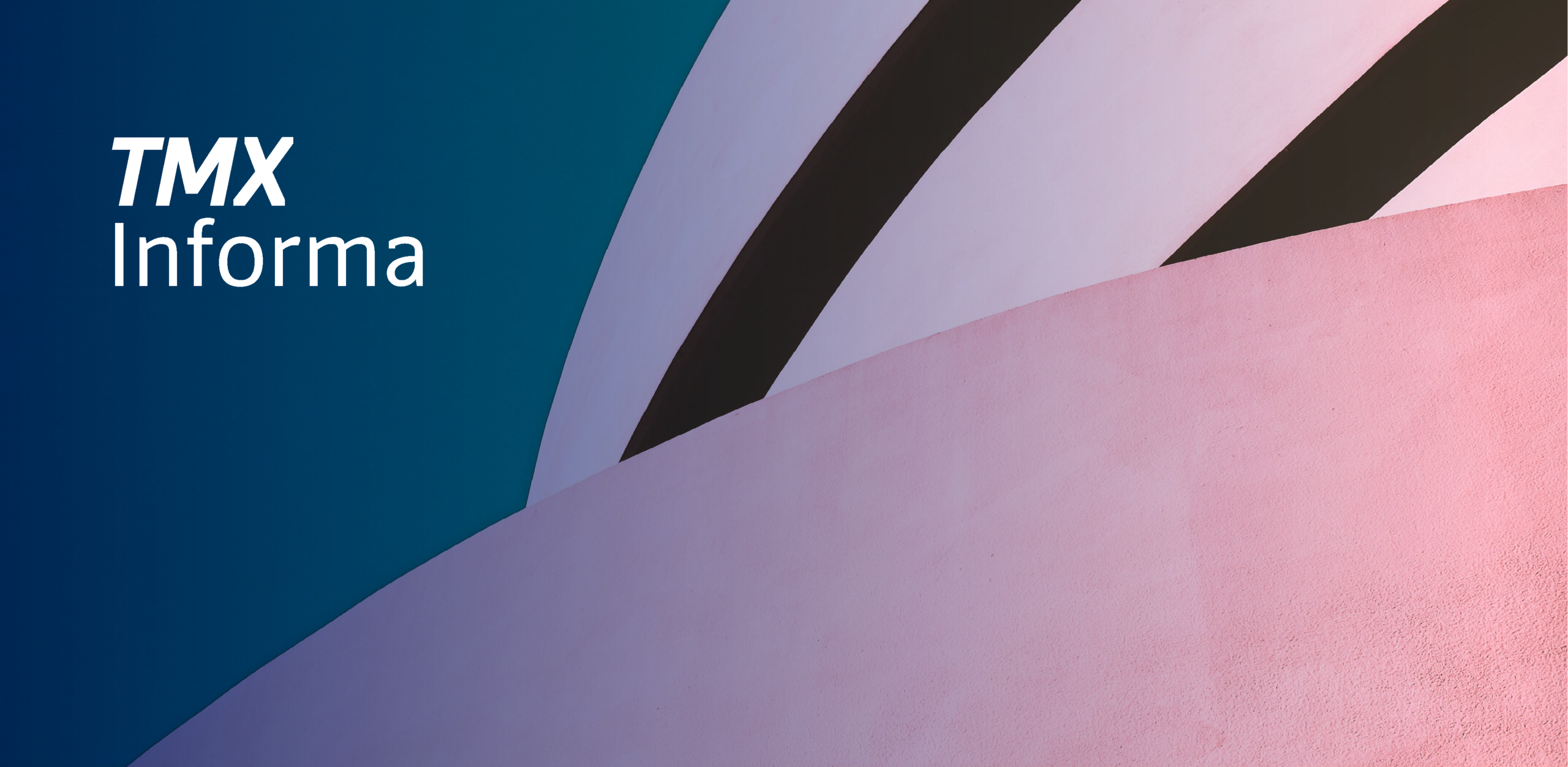 Balance de las declaraciones #3de3 presentadas por candidaturas a la elección judicial del 1o. de junio