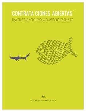 Publicaciones contrataciones abiertas: una guía para profesionales por profesionales